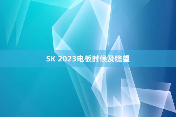 SK 2023电板时候及瞻望