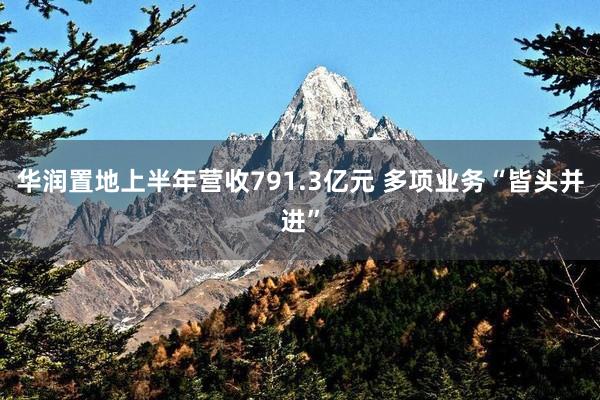 华润置地上半年营收791.3亿元 多项业务“皆头并进”