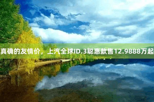 真确的友情价，上汽全球ID.3聪惠款售12.9888万起