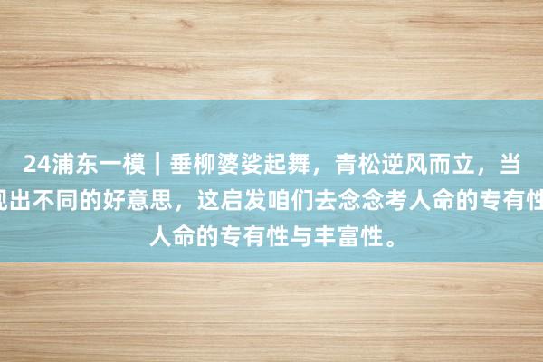 24浦东一模｜垂柳婆娑起舞，青松逆风而立，当然万物呈现出不同的好意思，这启发咱们去念念考人命的专有性与丰富性。