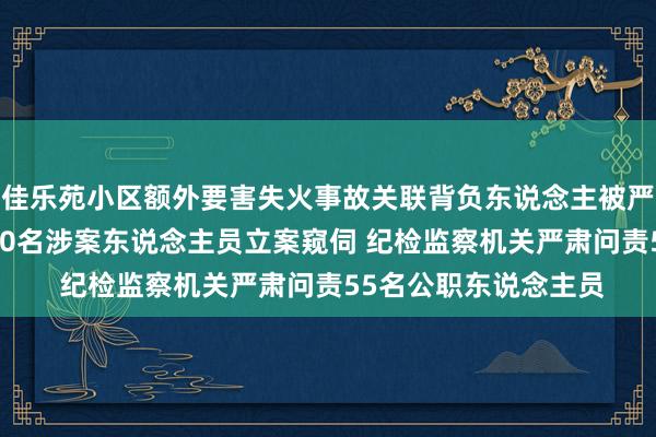 佳乐苑小区额外要害失火事故关联背负东说念主被严肃查处 公安机关对10名涉案东说念主员立案窥伺 纪检监察机关严肃问责55名公职东说念主员