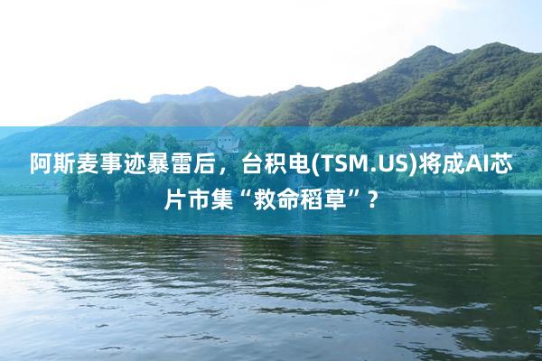 阿斯麦事迹暴雷后，台积电(TSM.US)将成AI芯片市集“救命稻草”？