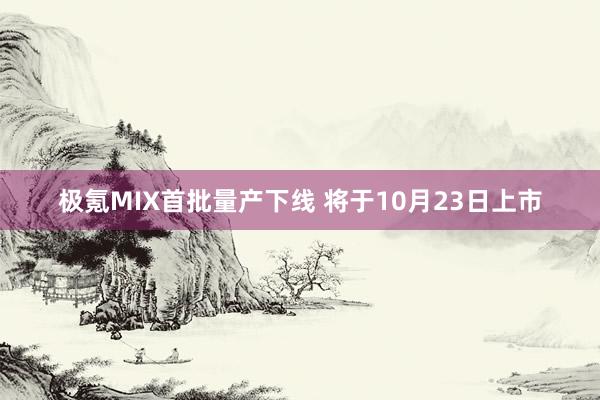 极氪MIX首批量产下线 将于10月23日上市