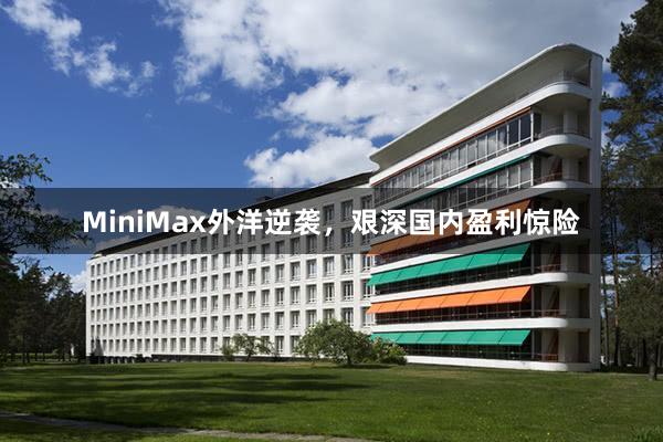 MiniMax外洋逆袭，艰深国内盈利惊险