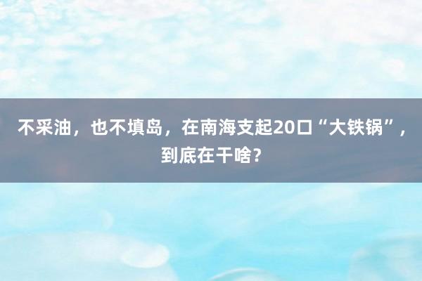 不采油，也不填岛，在南海支起20口“大铁锅”，到底在干啥？