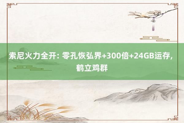 索尼火力全开: 零孔恢弘界+300倍+24GB运存, 鹤立鸡群