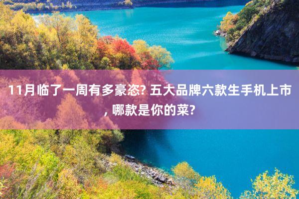 11月临了一周有多豪恣? 五大品牌六款生手机上市, 哪款是你的菜?